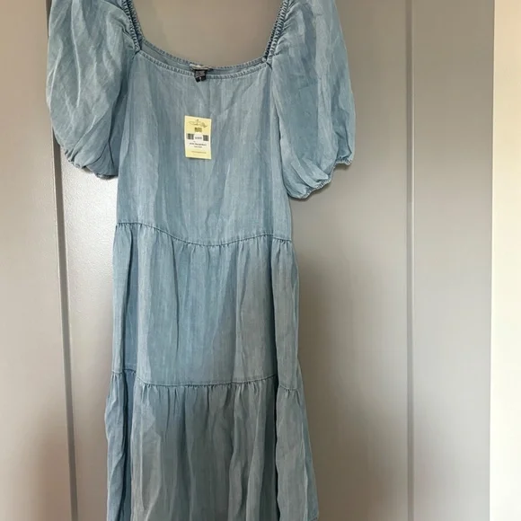 NWT.- Tasha Polizzi Dolly Tencel Denim Dress - SZ S (runs big) - Picture 8 of 15